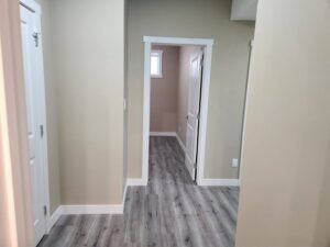 Basement Renovations